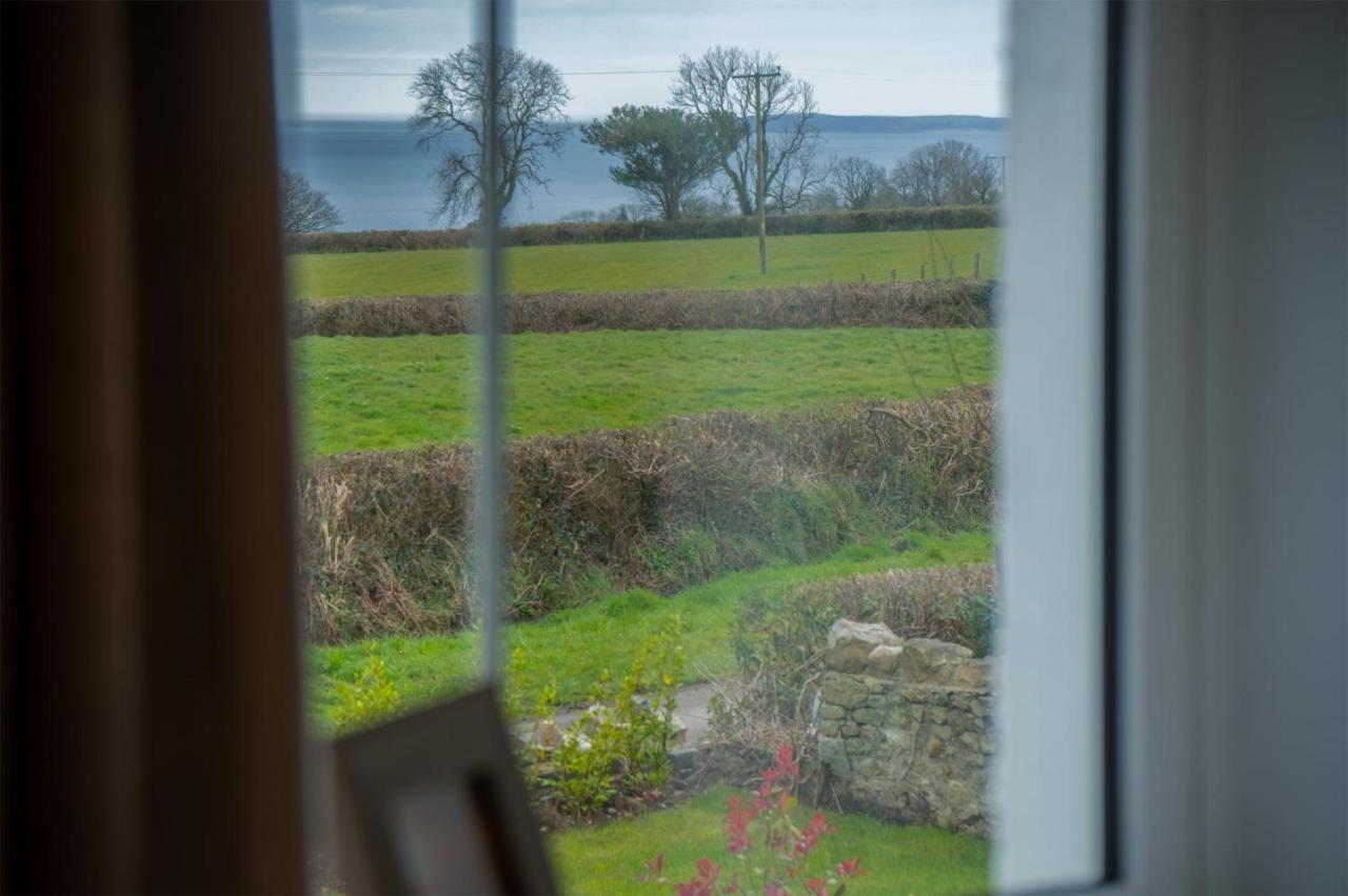 Elidyr Cottage - 3 Bedroom Cottage - Amroth Buitenkant foto